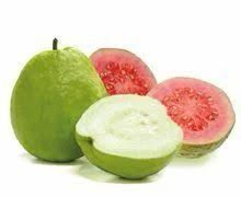 <br>Gova Malt <br> (கொய்யா <br>மால்ட் )