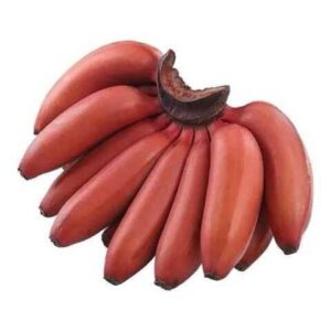Red Banana Malt <Br> (செவ்வாழை மால்ட் )